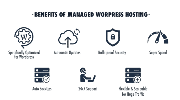 optimized bluehost review