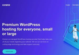 kinsta hosting