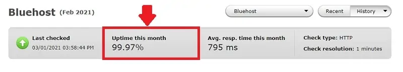 bluehost uptime