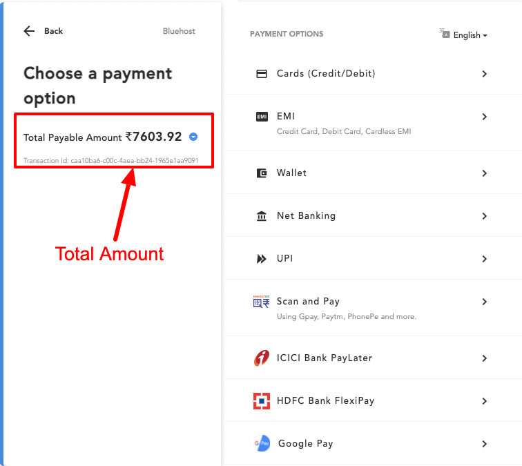 bluehost payment methods